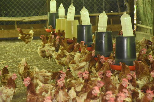 Las galeras est&aacute;n equipadas para su correcto desempe&ntilde;o. (Foto: Nehem&iacute;as Guti&eacute;rrez)