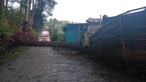 Una calle qued&oacute; obstaculizada por el tronco del &aacute;rbol. (Foto: Cruz Roja Guatemalteca)