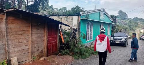Una iglesia y una vivienda se vieron afectadas tras la ca&iacute;da del &aacute;rbol. (Foto: Cruz Roja Guatemalteca)