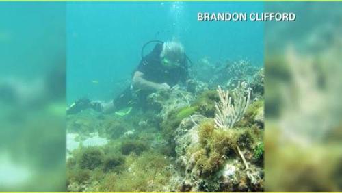 El ca&ntilde;&oacute;n del siglo 15, ser&iacute;a la pista para hacer creer al equipo que se trata del buque insignia de Cristobal Col&oacute;n. (Foto:CNN) 