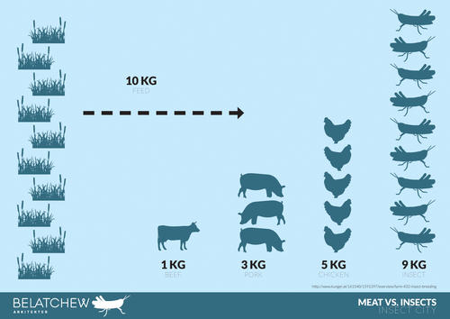  Gr&aacute;fico de lo que representa el consumo de 10 kilogramos de hierba y su incremento en cantidad de kilos cuando son insectos. Foto: Belatchew Labs InsectCity