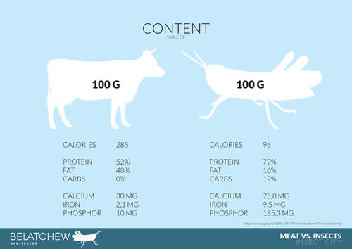 Gr&aacute;fico que muestra la comparaci&oacute;n entre los componentes de 100 gramos de carne de vacuno y la misma cantidad en insectos. Foto: Belatchew Labs InsectCity