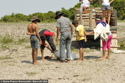 Los lugare&ntilde;os transportaron a la anaconda en un costal. (Foto: Marie-France Grenouillet/Barcroft USA) 