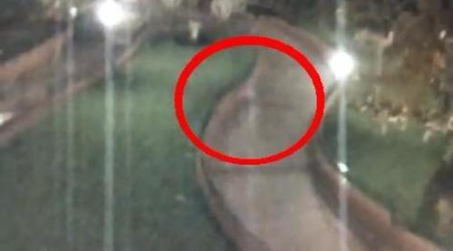 Fantasma en Disneylandia