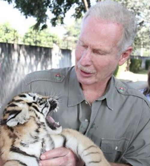 Cachorro de tigre de bengala lucía hostil en la sesión de fotos. (Foto: Facebook)