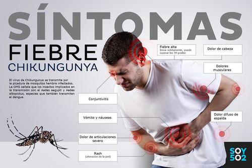 En caso de presentar alguno de los s&iacute;ntomas, autoridades recomiendan acudir a un m&eacute;dico. (Infograf&iacute;a: Javier Marroqu&iacute;n/Soy502)