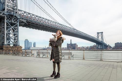 Este es un gran ejemplo de amistad, aunque Smokey regresará a la granja, nunca se separarán pues será visitado regularmente. (Foto: Alexandre Ayer/Barcroft) 