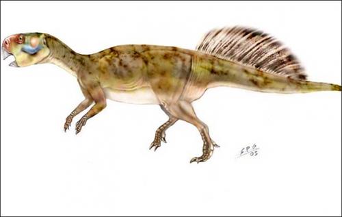 Impresi&oacute;n art&iacute;stica sobre la apariencia que tendr&iacute;a un psittacosauras o &ldquo;loro-lagarto&rdquo;. Foto: SiberianTimes.com