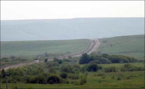 Sitio Kulinda, donde los restos de dinosaurios fueron encontrados. Foto: SiberianTimes.com