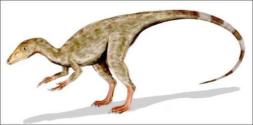 Una impresi&oacute;n art&iacute;stica de c&oacute;mo se ver&iacute;a este dinosaurio Compsognathus. Foto: SiberianTimes.com