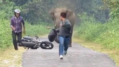 Elefante corre a dos j&oacute;venes en India.