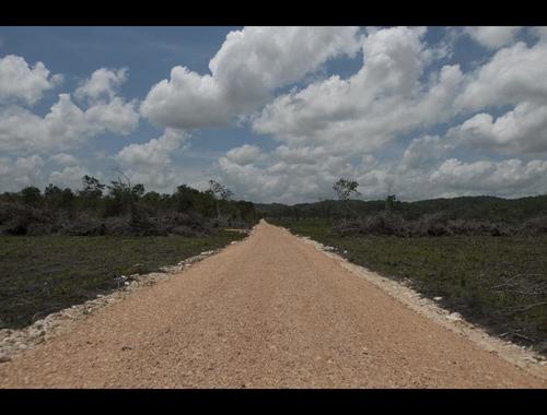 Esta es la carretera que se construye en el interior de la finca. (Foto: Plaza Pública)