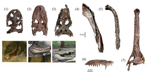 El proyecto de excavaci&oacute;n integrado por arque&oacute;logos de Per&uacute;, Estados Unidos, Francia y Holanda empez&oacute; en 2002. (Foto UNMSM)