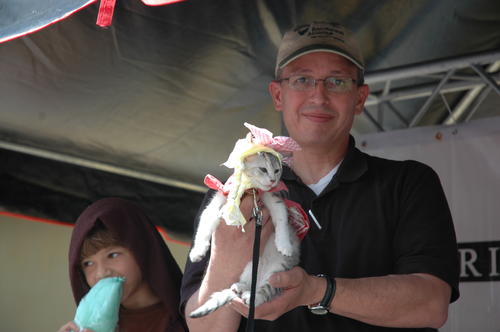 Este gatito no tuvo miedo de la presencia de la mayoría de los perros. Su simpático disfraz hizo que la gente lo aplaudiera. (Foto: Fredy Hernández).