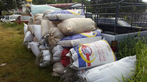 El musgo verde también es otra de los recursos naturales que están bajo protección durante estas fiestas. (Fotos: Conap)