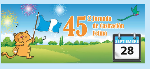 Esta es la jornada n&uacute;mero 48. (Foto: Comunidad Gatuna oficial) 