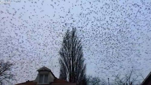 Impresionante postal 