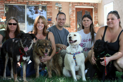 Estos son los h&eacute;roes que fueron en busca de la familia de perritos, actualmente los canes se encuentran en proceso de adopci&oacute;n. (Foto: Eldad Hagar/Hope for paws) 