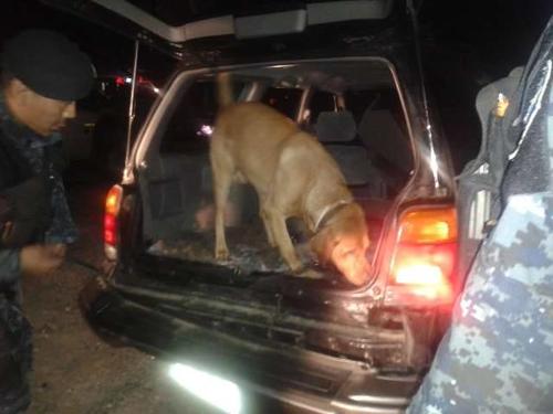 Un perro entrenado para detectar droga localiz&oacute; la coca&iacute;na que estaba escondida en un doble compartimiento del veh&iacute;culo que era conducido por un adolescente. (Foto: PNC)