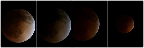 La sombra de la Tierra cubri&oacute; el sat&eacute;lite por completo. La Luna se observaba roja. (Fotos: AFP)