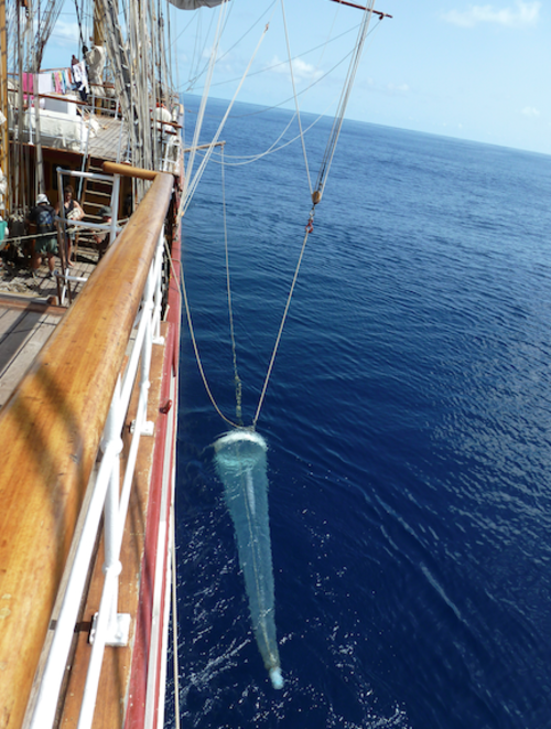 La red utilizada para recolectar el material flotante en la superficie del mar. (Foto proporcionada por Eduardo Rubio) 