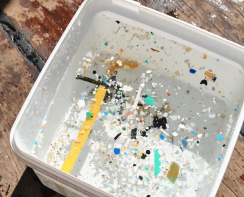 En las muestras aparec&iacute;a pl&aacute;stico de distintas formas, tama&ntilde;os y colores. (Foto proporcionada por Eduardo Rubio)