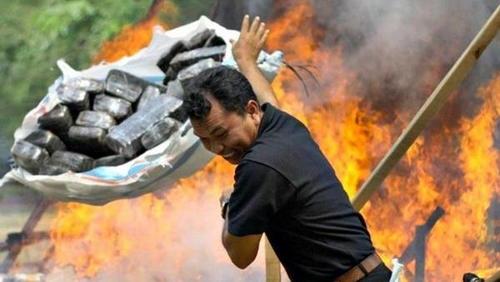 Las autoridades de Indonesia drogaron accidentalmente a los habitantes de un pueblo luego de destruir marihuana confiscada. 