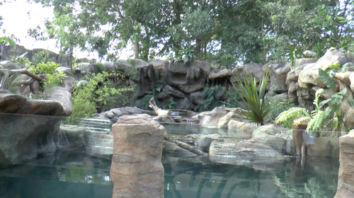El nuevo recinto de las nutrias en el zoológico La Aurora, tiene la intención de parecerse a Semuc Champey, Alta Verapaz. 