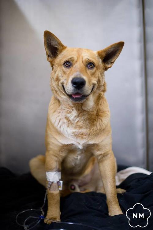 River despu&eacute;s de ser operado. 