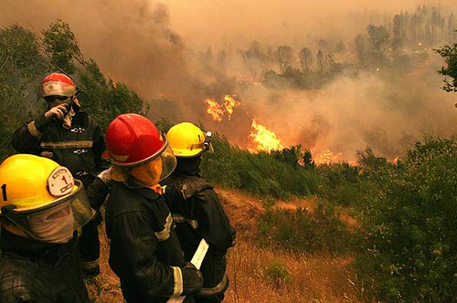 En Chile los cuerpos de emergencia luchan por controlar los 50 incendios que afectan al pa&iacute;s.