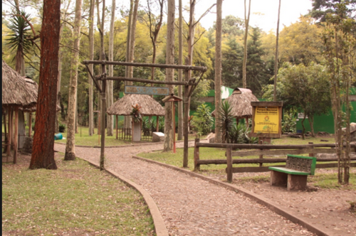 Este parque ofrece exhibiciones culturales y un espacio natural &uacute;nico para la recreaci&oacute;n y la educaci&oacute;n ambiental.  (Foto: Parque Naciones Unidas) 