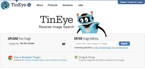 Esta plataforma permite buscar d&oacute;nde ha sido publicada la fotograf&iacute;a antes.  (Foto: Internet) 