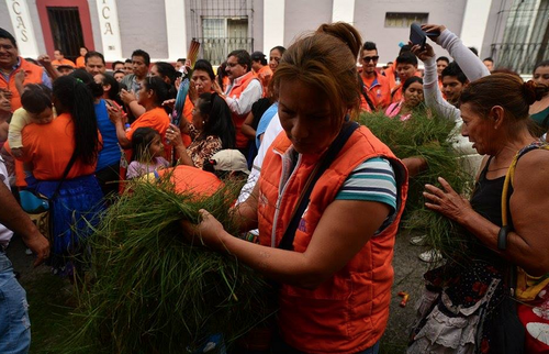 Los simpatizantes del partido Patriota hasta pusieron pino en la calle para recibir a su candidato presidencial. (Foto: Wilder López/Soy502)