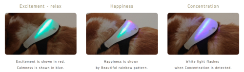 Los colores ser&aacute;n reflejados en el dispositivo dependiendo del ritmo card&iacute;aco de tu perro. (Foto: Inupathy)