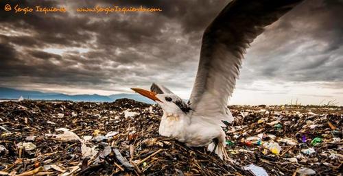 Sergio Izquierdo se ha dedicado a retratar los efectos de la contaminaci&oacute;n en Guatemala y el mundo. (Foto: Sergio Izquierdo) 