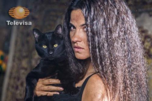 La Gata es una adaptaci&oacute;n de una telenovela venezolana de 1986.
