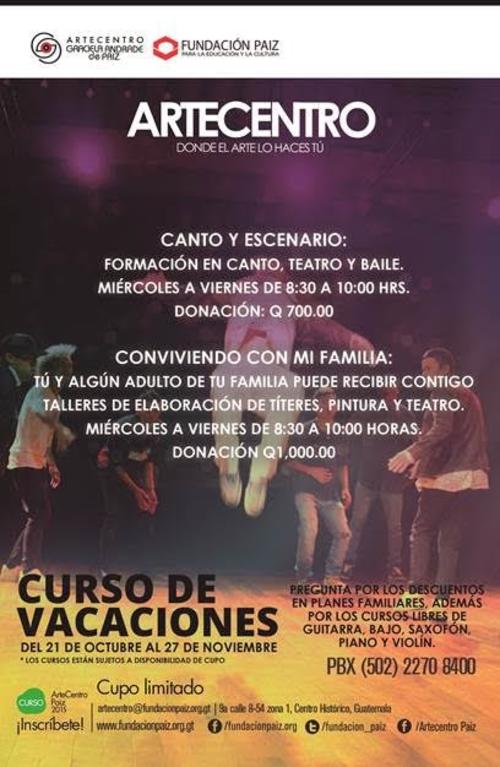 Las actividades que formar&aacute;n parte del curso son: Ambiental, Arte y Cultura, Excursiones, Deportes, Juegos y Manualidades.