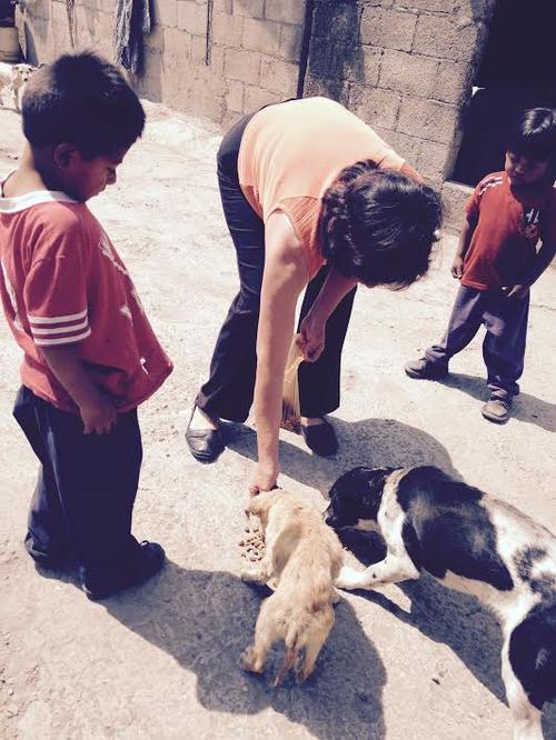 Do&ntilde;a Gladis llev&oacute; un poco de concentrado para "Juguet&oacute;n" y otros perritos que cuidan a los afectados. Ellos tambi&eacute;n necesitan ser alimentados. (Foto: Fredy Hern&aacute;ndez/Soy502)