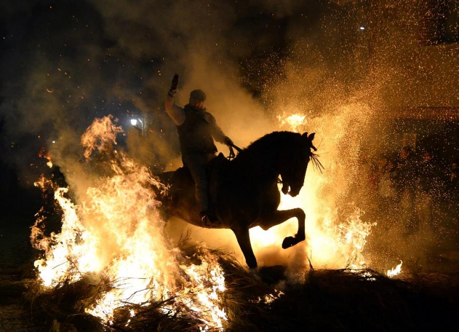 Un salto de caballo y jinete sobre una fogata ardiente en el pueblo espa&ntilde;ol de San Bartolom&eacute; de Pinares, &nbsp;durante las celebraciones por la fiesta de San Antonio Abad, patr&oacute;n de los animales. Desde tiempos inmemoriales, los due&ntilde;os de los caballos han condicionado sus bestias para pasar a trav&eacute;s de las llamas que marcan un "folklore religioso" considerando el proceso de limpia para el pueblo de cualquier enfermedad. AFP/GERARD JULIEN