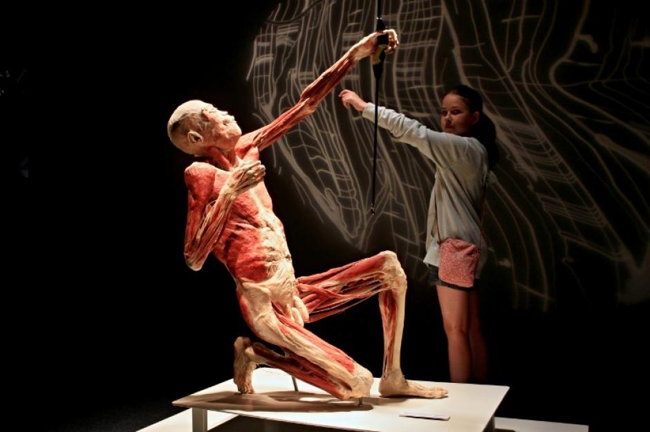 Una joven interact&uacute;a&nbsp;en la exposici&oacute;n "Body Worlds", despu&eacute;s de que se abriera el 1 de agosto de 2014 en Brno, Rep&uacute;blica Checa. La exposici&oacute;n, que presenta cuerpos humanos que se han conservado a trav&eacute;s de un proceso de preservaci&oacute;n de pol&iacute;mero, est&aacute; abierta al p&uacute;blico hasta el 30 de noviembre de 2014. (Foto: AFP/RADEK MICA)