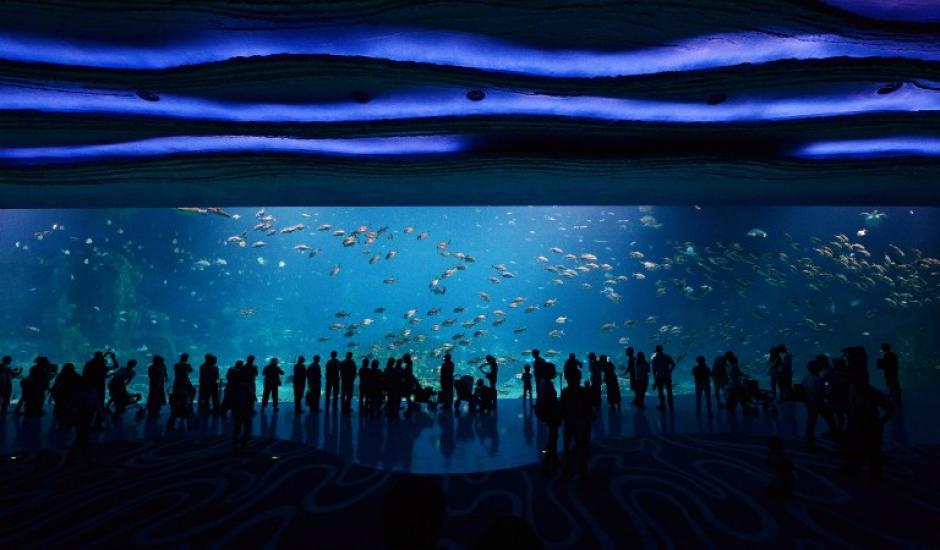Con un tanque que tiene 22.7 millones de litros de agua, el parque tem&aacute;tico acu&aacute;tico en China ha establecido cinco R&eacute;cords Guinness. (Foto: AFP)&nbsp;