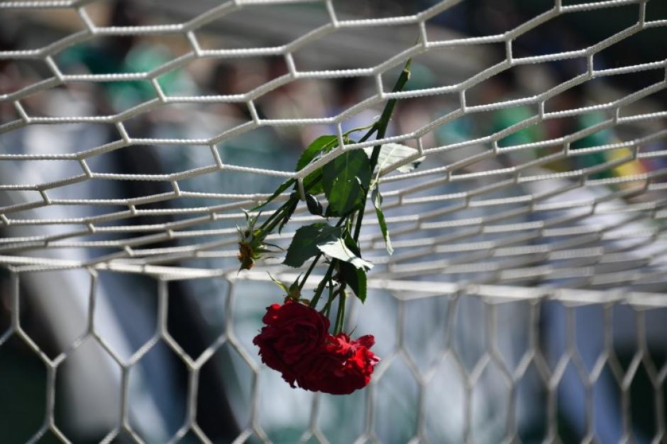 Una rosa cuelga de uno de los arcos en el estadio del Chapecoense. (Foto: AFP)