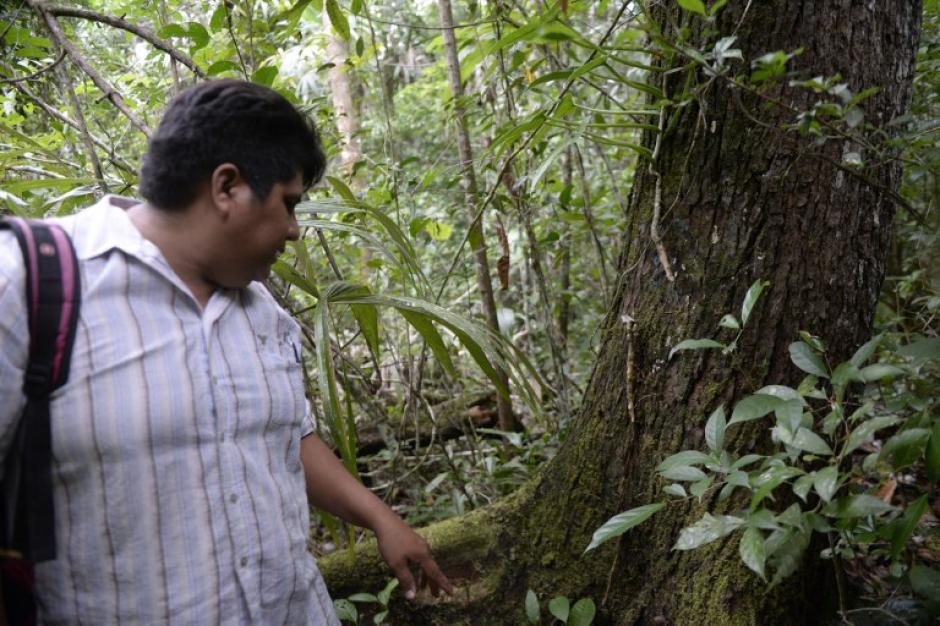 Velter Mart&iacute;nez, del Conap, realiza monitoreos en Carmelita, Pet&eacute;n. (Foto: Johan Ord&oacute;&ntilde;ez/AFP)