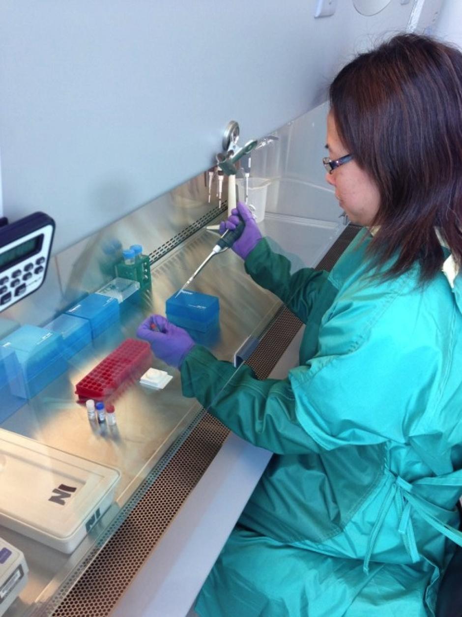 Una enfermera result&oacute; ser la segunda v&iacute;ctima contagiada de &eacute;bola en EE.UU. (Foto: AFP)