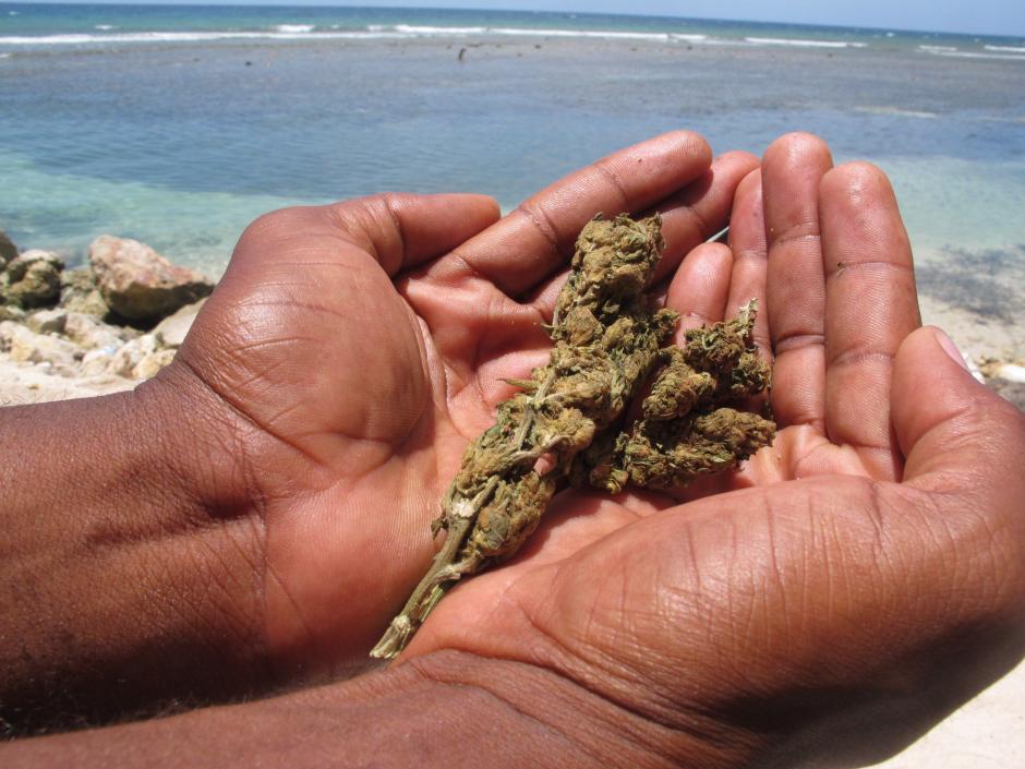 El consumo de marihuana podr&aacute; ser legal para fines medicinales o religiosos. (Foto: EFE/Archivo)