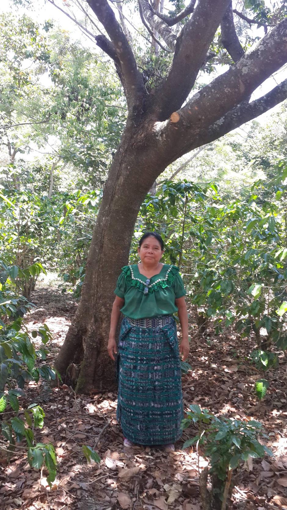 Do&ntilde;a Ana, la mam&aacute; de Armando. La mejor maestra, la mejor costurera, la mejor cocinera...simplemente, la mejor. (Foto: Archivo Armando Quiaca&iacute;n).