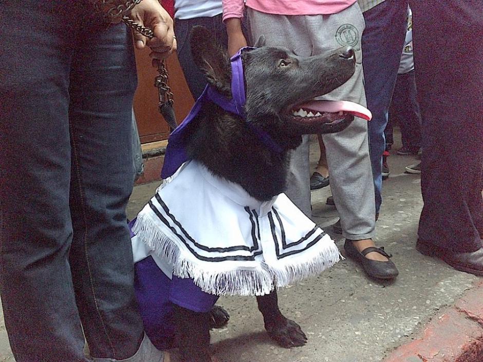 La inusual imagen ha dado de qu&eacute; hablar en las redes sociales. Seg&uacute;n el autor de la fotograf&iacute;a, hubo comentarios que tachaban el hecho de sacrilegio y otros de ingenioso. (Foto: Juan Carlos Bola&ntilde;os/Radio Punto)