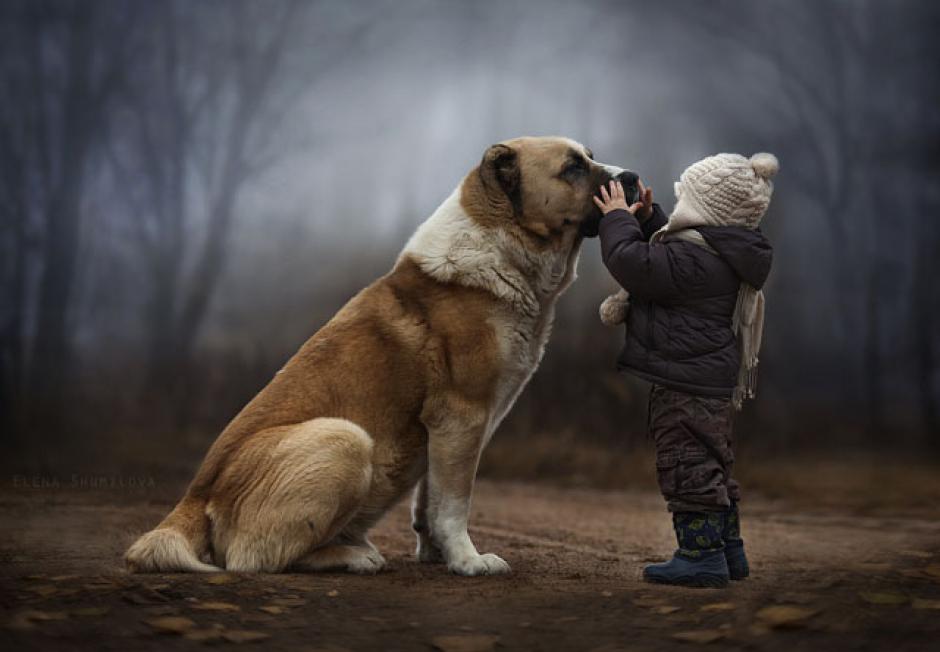 Esta tierna imagen de un ni&ntilde;o y su mejor amigo es la n&uacute;mero uno del top con m&aacute;s de 1 millon de vistas. (Foto: Elena Shumilova)