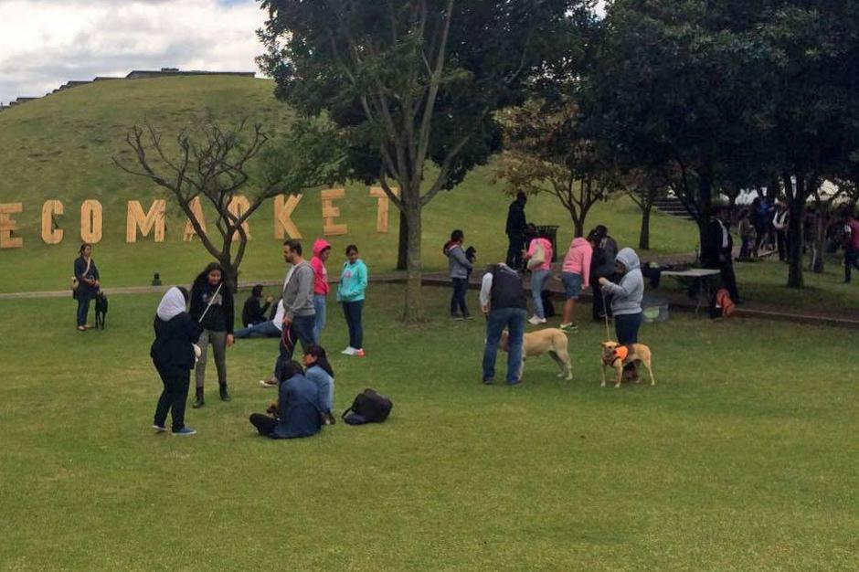 Las mascotas ahora tienen un nuevo espacio para salir de paseo junto a sus due&ntilde;os sin salir de la ciudad. (Foto: Museo Miraflores)