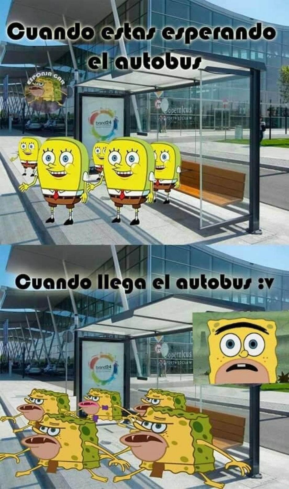 El origen del meme de Bob Esponja cavernícola que causa sensación